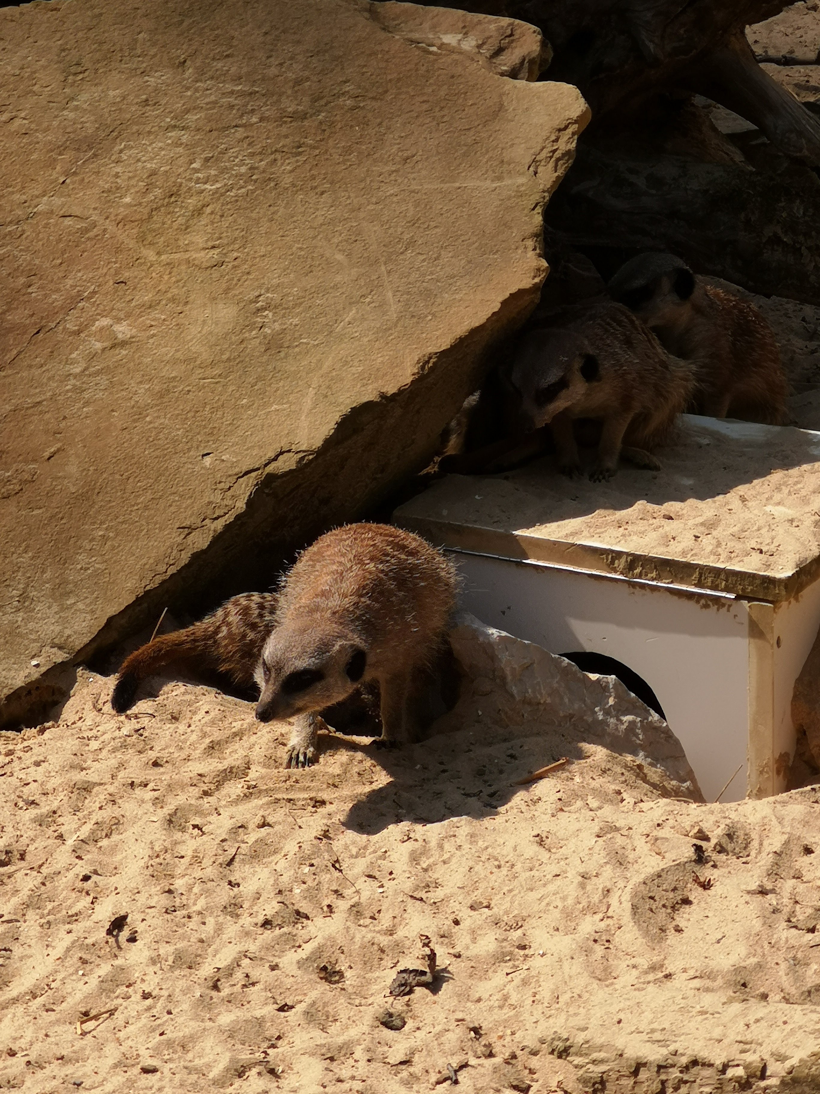 Photo n° 25 de l'avis de Bryan.r fait le 24/04/2018 à 19:19