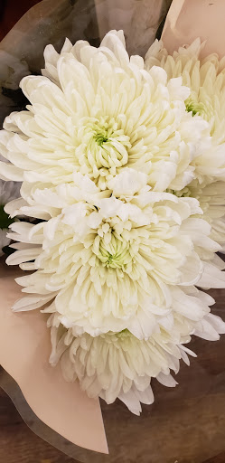 Grocery Store «Albertsons», reviews and photos, 2165 E Buckingham Dr, Richardson, TX 75081, USA