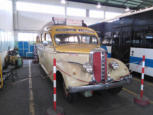 Avaliações doVimeca Transportes em Amadora - Serviço de transporte