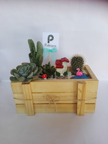 Opiniones de Pintoresca : Cactus y Suculentas en Tacna - Centro de jardinería