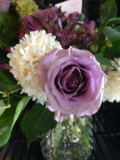 Garden Center «Copia Home and Garden», reviews and photos, 475 Smith Ridge Rd, South Salem, NY 10590, USA