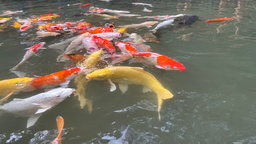 氧森谷花園餐廳 的照片