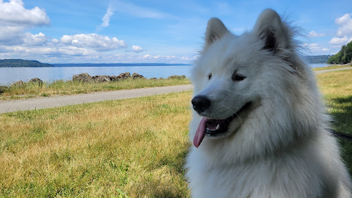 State Park «Saltwater State Park», reviews and photos, 25205 8th Pl S, Des Moines, WA 98198, USA