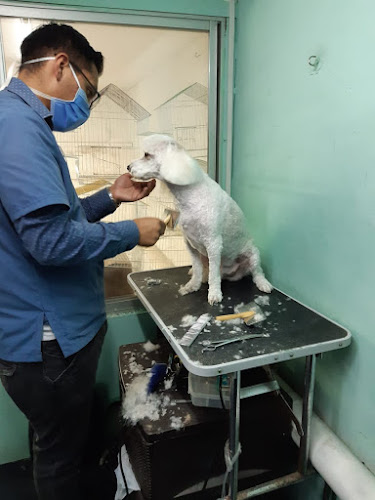 Opiniones de Veterinaria y Peluquería canina Chooper en Quito - Veterinario