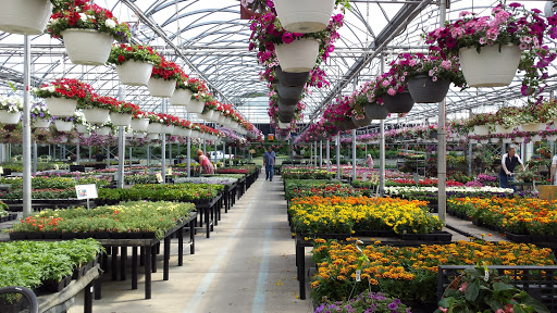 Walker Farms And Greenhouses