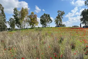Bitronot Ruhama Reserve image