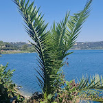 Photo n°1 de l'avis de Luiziana.a fait le 14/08/2023 à 21:31 sur le  Trattoria Ricciotti à Castel Gandolfo