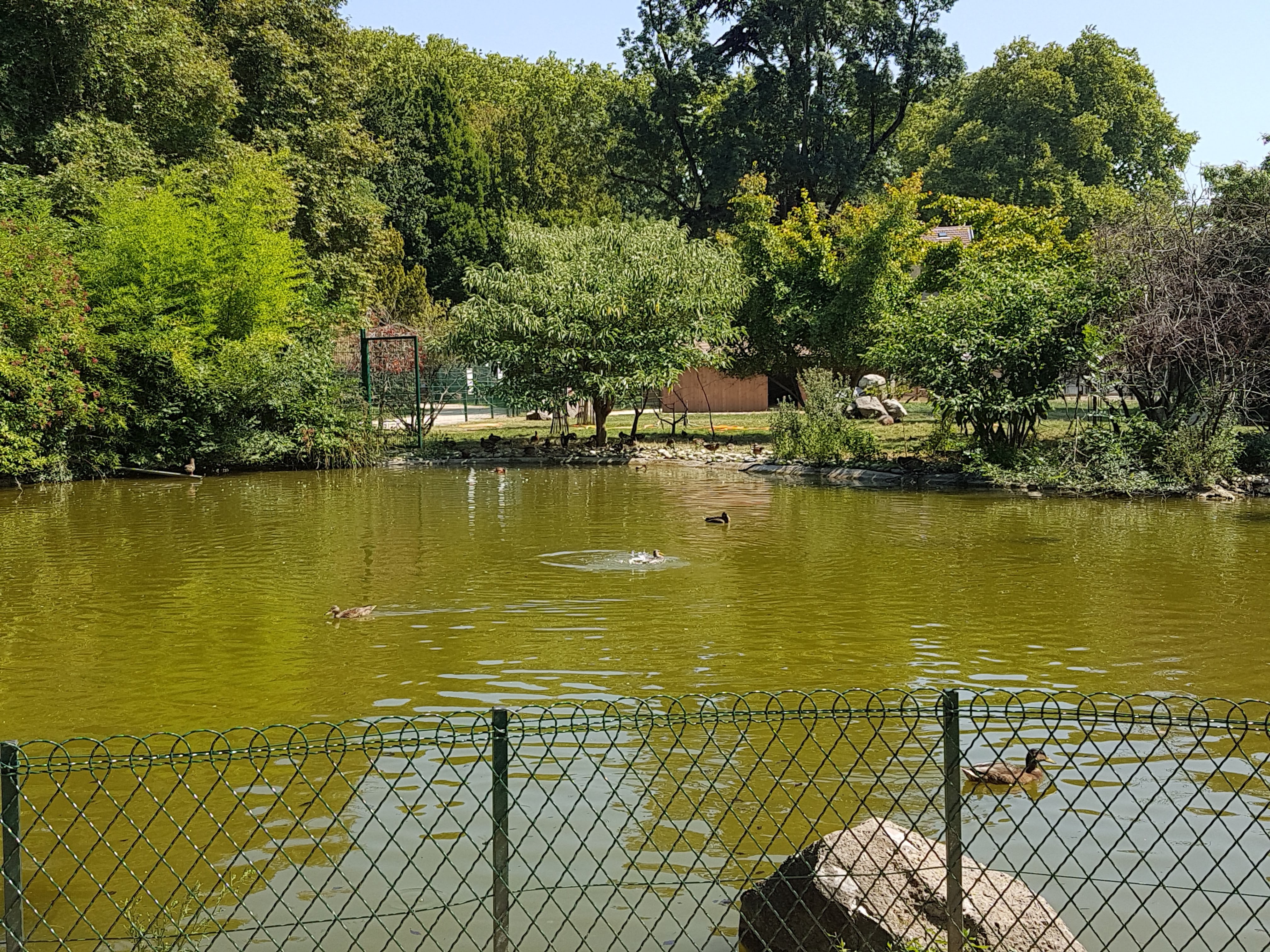 Photo n° 13 de l'avis de Yvette.Y fait le 31/07/2018 à 19:49