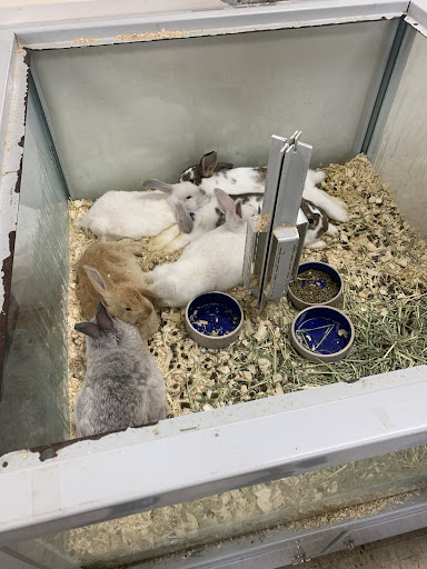 Pet Supply Store «Farmside Supplies Inc», reviews and photos, 15 Loomis Ave, Sussex, NJ 07461, USA