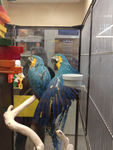 Pet Supply Store «PetSmart», reviews and photos, 299 Loudon Rd, Concord, NH 03301, USA