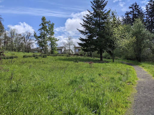 Park «Mount Talbert Nature Park», reviews and photos, 10945 SE Mather Rd, Clackamas, OR 97015, USA