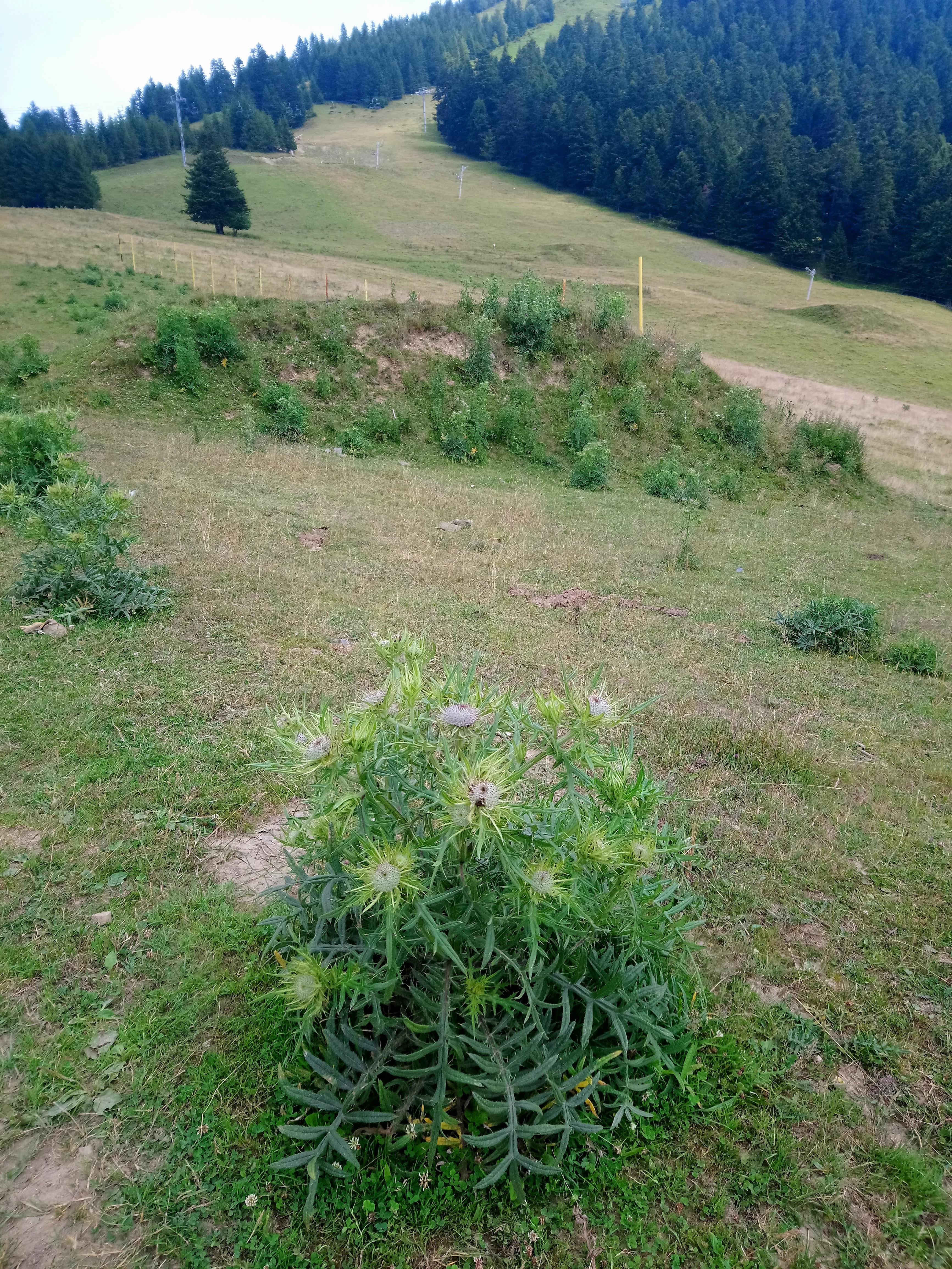 Photo n° 2 de l'avis de Dominique.a fait le 29/07/2019 à 22:20