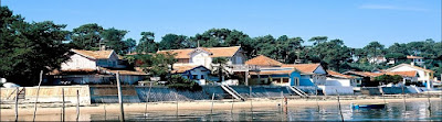 IMMOACASA Jean Michel DARRE à Lège-Cap-Ferret