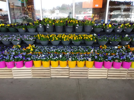 Shopping Mall «Shillington Shopping Center», reviews and photos, 502 E Lancaster Ave, Reading, PA 19607, USA