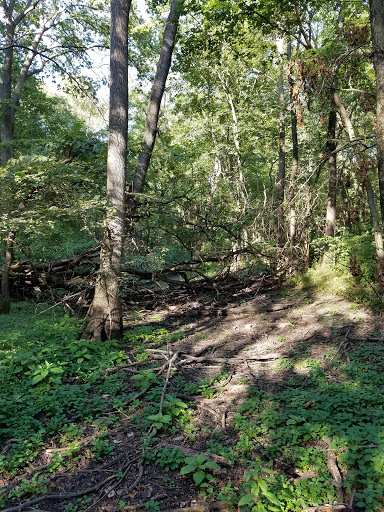 Country Club «Urbana Country Club», reviews and photos, 100 E Country Club Rd, Urbana, IL 61801, USA