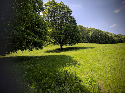 State Park «Goosepond Mountain State Park», reviews and photos, 1198 New York 17M, Chester, NY 10918, USA