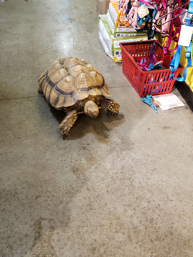 Pet Store «Critter Cabana - Wilsonville», reviews and photos, 8406 SW Main St #200, Wilsonville, OR 97070, USA