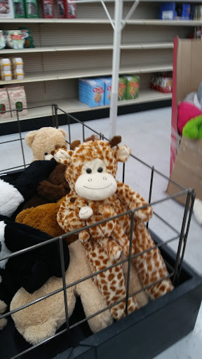 Discount Store «Big Lots», reviews and photos, 111 Racetrack Rd NW a, Fort Walton Beach, FL 32547, USA