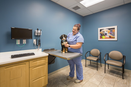 Veterinary Specialty & Emergency Care West - Open 24 Hours image