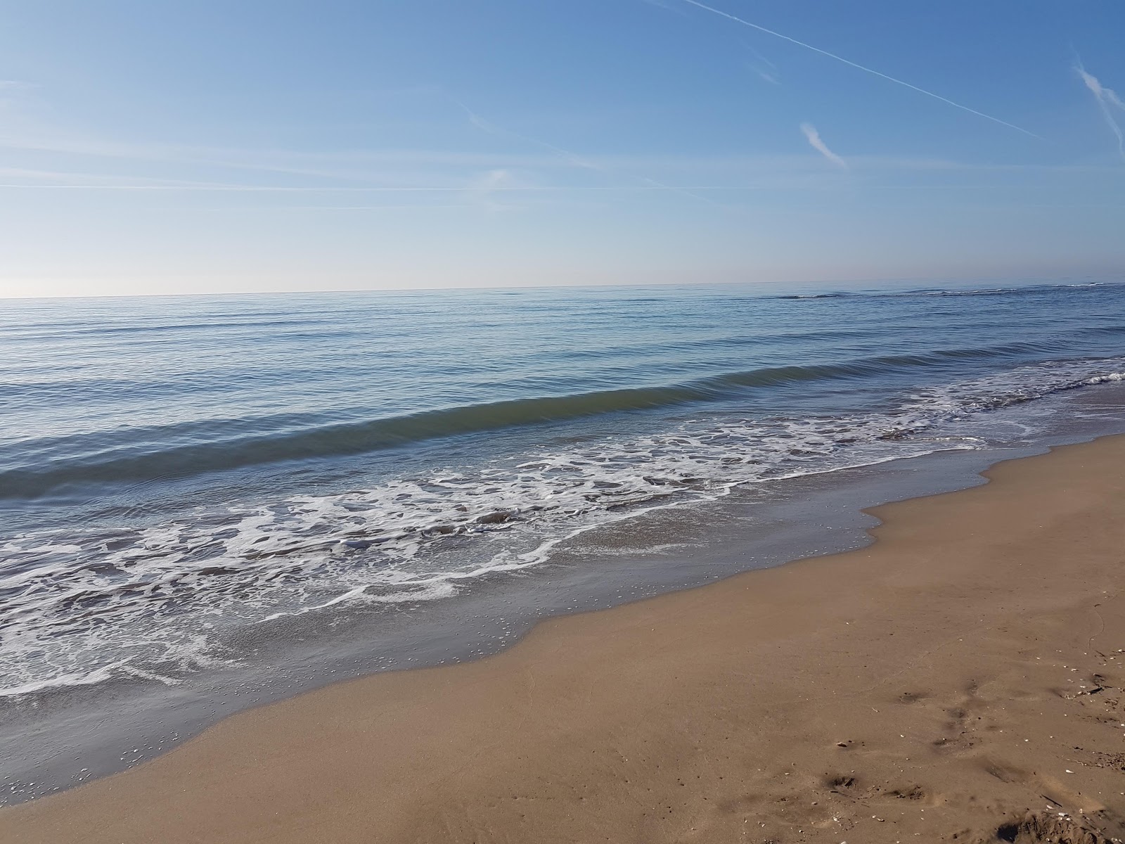 Foto van Platja dels Eucaliptus met bruin zand oppervlakte