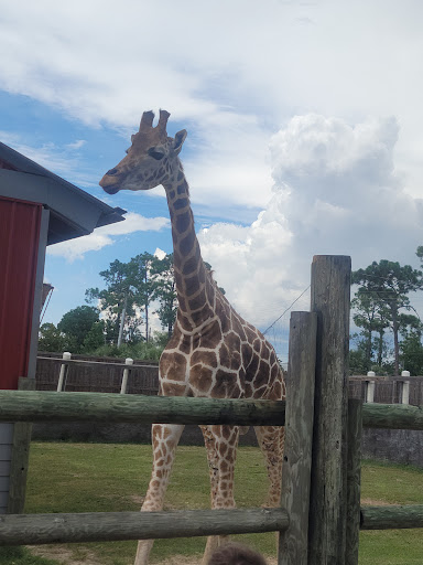 Zoo «ZooWorld Zoological and Botanical Conservatory», reviews and photos, 9008 Front Beach Rd, Panama City Beach, FL 32407, USA