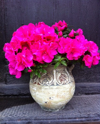 Florist «Halsted Flowers, LLC», reviews and photos, 2725 N Halsted St, Chicago, IL 60614, USA