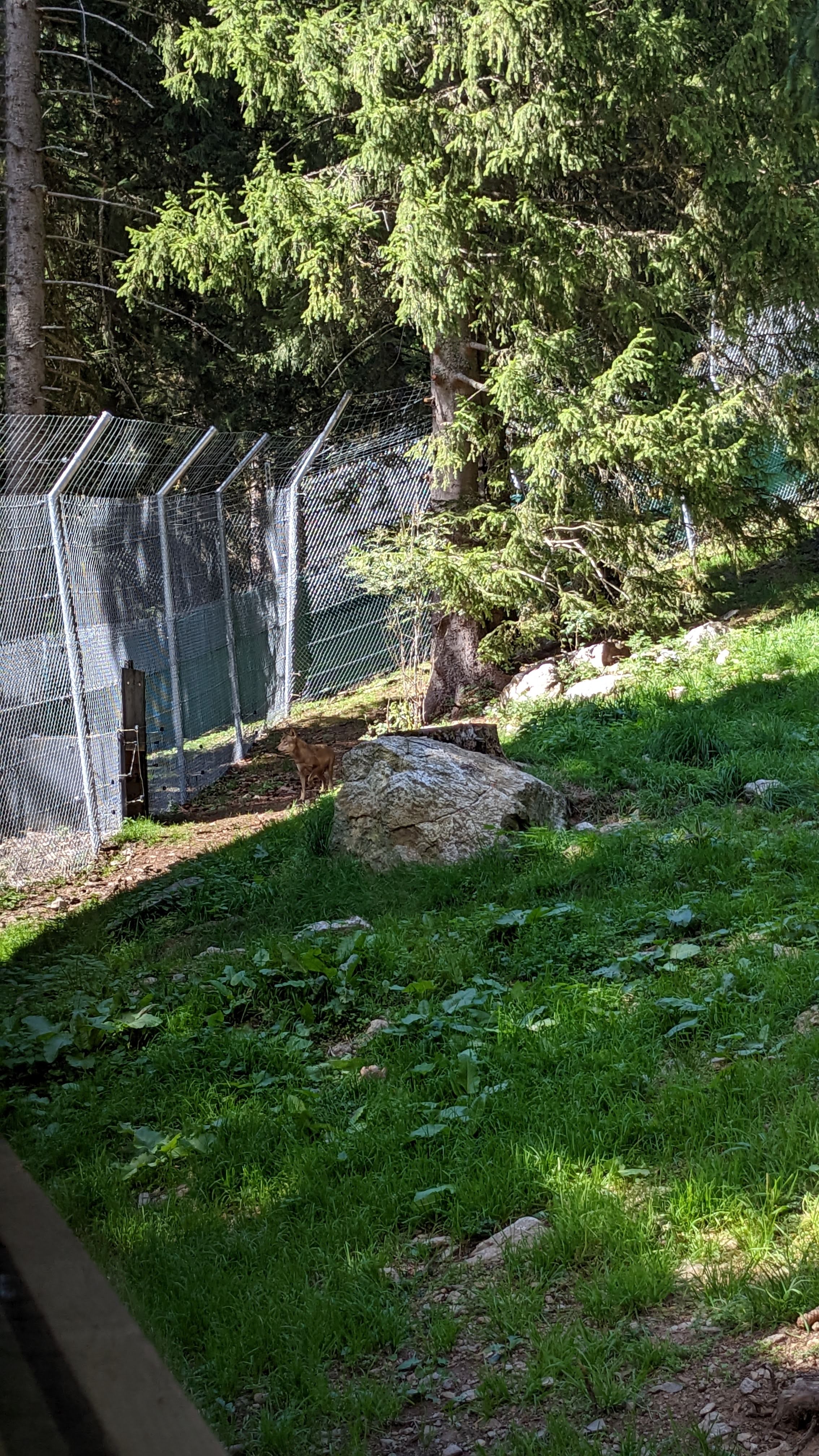 Photo n° 14 de l'avis de Florian.o fait le 11/09/2022 à 15:52