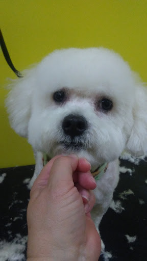 Pet Supply Store «Mellisa’s PET DEPOT», reviews and photos, 83 Faunce Corner Mall Rd, Dartmouth, MA 02747, USA