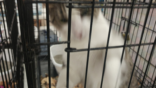 Pet Supply Store «Petco Animal Supplies», reviews and photos, 3731 Gateway Dr, Eau Claire, WI 54701, USA