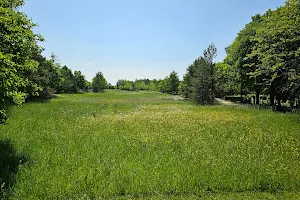 Parkfriedhof image