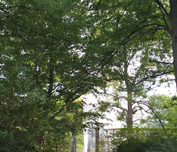 Große Fontäne photo