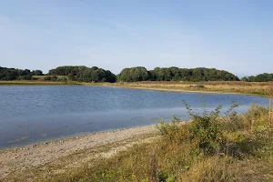 Malmö Skogsträdgård Vårsången image