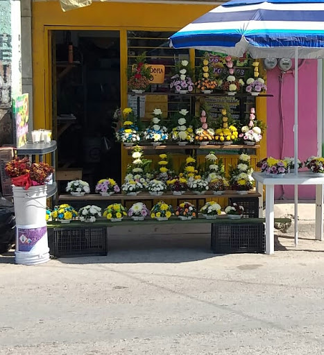 Floreria Los Girasoles Eliza – Ciudad Valles