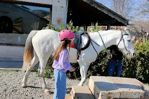 Akhal Teke Horse Riding Center Cappadocia image