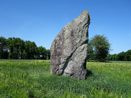 Menhir dit de La Pierre des Fées à Janzé