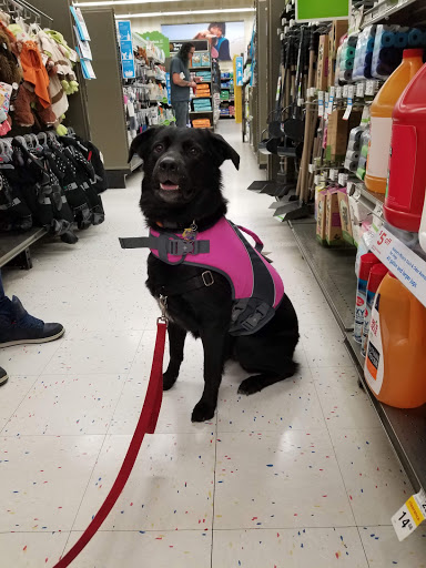 Pet Supply Store «Petco Animal Supplies», reviews and photos, 27111 167th Pl SE #113, Covington, WA 98042, USA