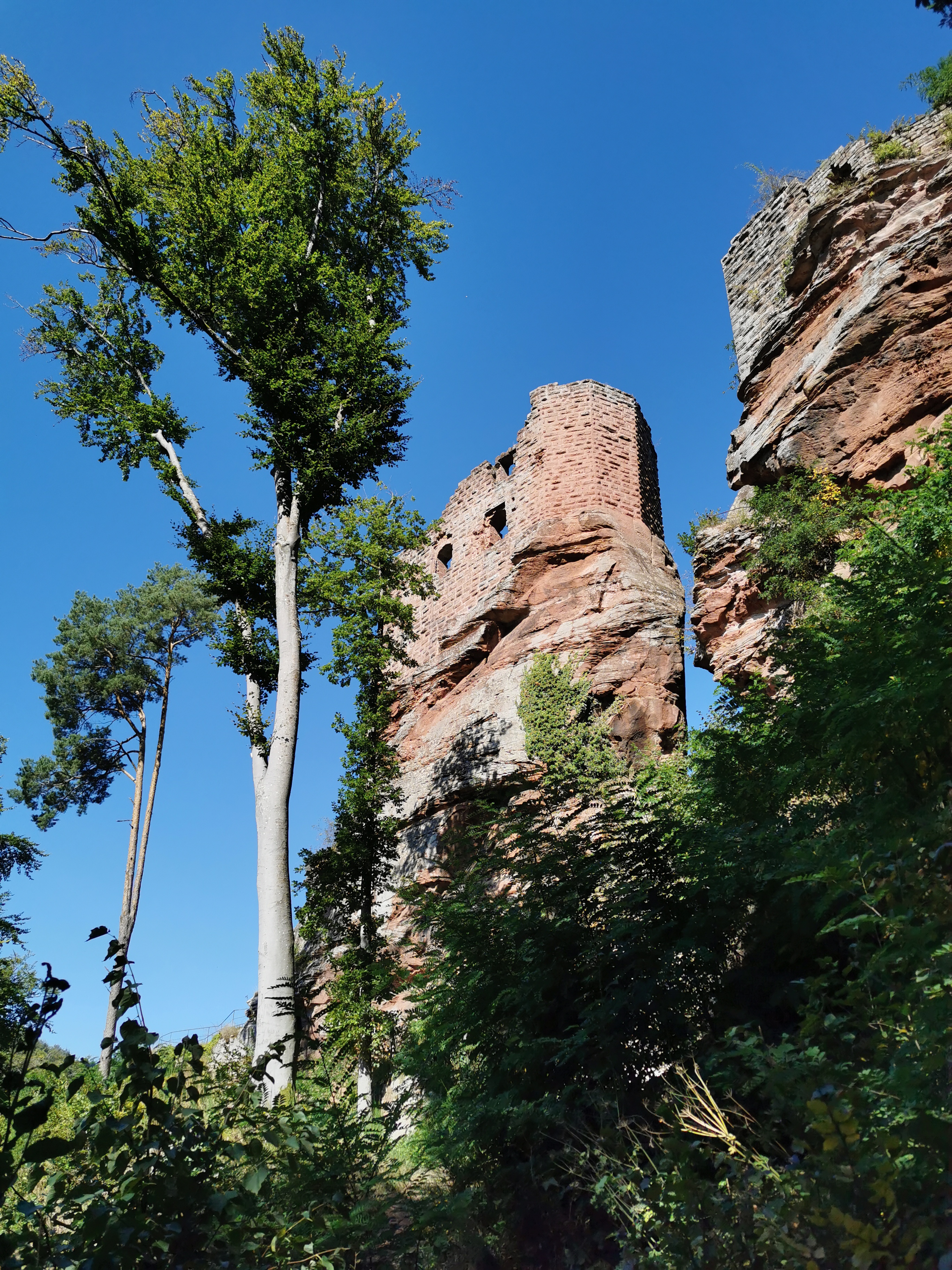 Photo n° 18 de l'avis de Uwe.c fait le 18/09/2021 à 19:30