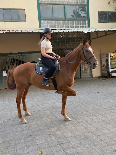 Horse riding nearby Tel Aviv