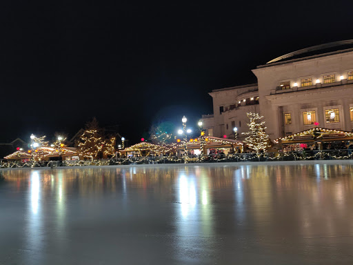 Performing Arts Theater «The Center for the Performing Arts», reviews and photos, 355 City Center Dr, Carmel, IN 46032, USA