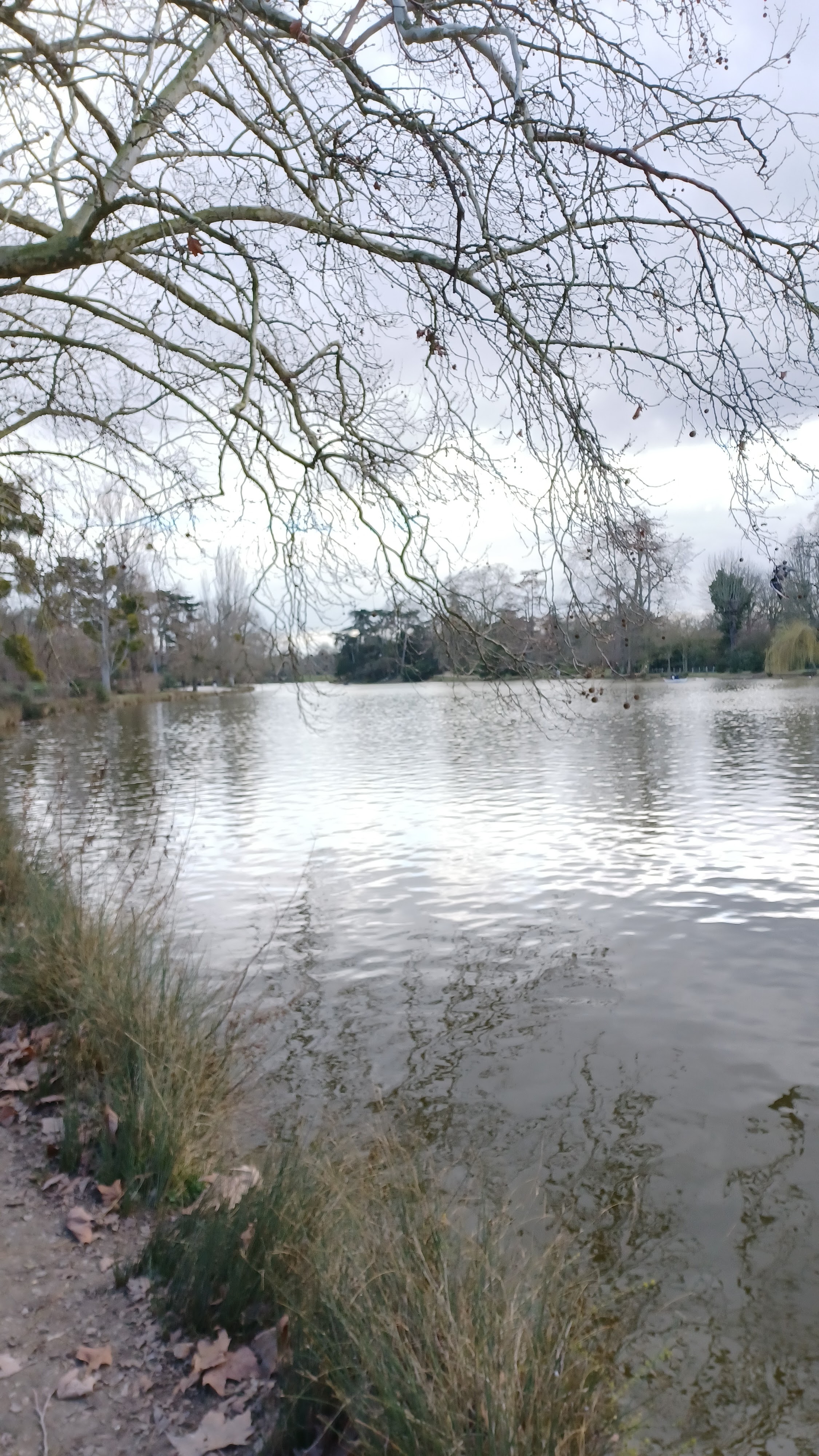 Photo n° 5 de l'avis de Ninette. fait le 07/03/2023 à 10:37