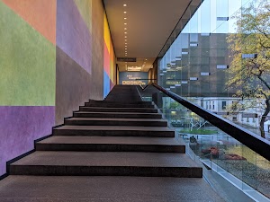 Carnegie Museum of Art - photo 45