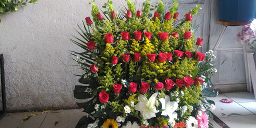 Florería Tulipanes – Donato Guerra