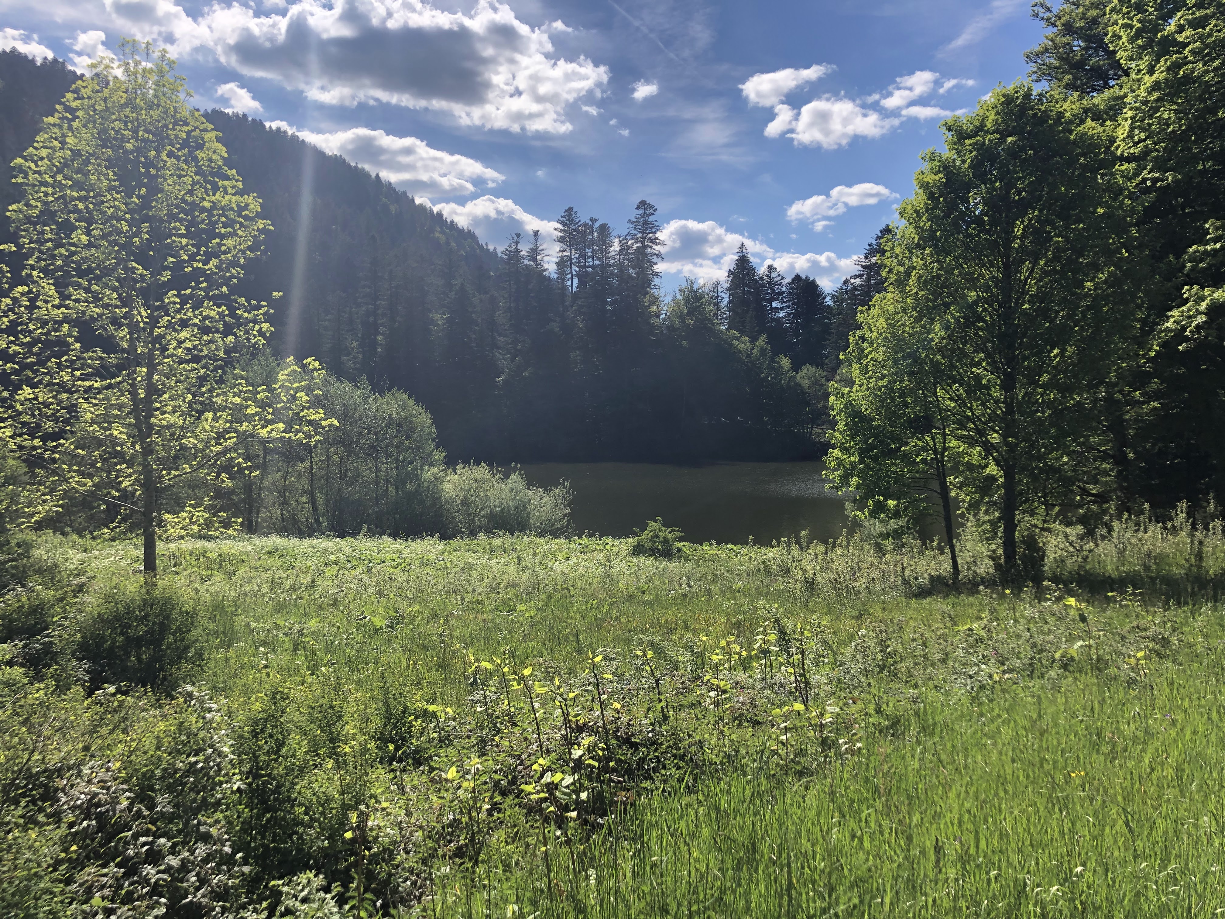 Photo n° 1 de l'avis de Sebastien.o fait le 01/06/2019 à 15:18