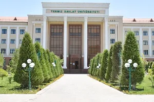 Termez State University image