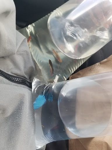 Pet Store «V.I. Pets», reviews and photos, 11975 E Lakewood Blvd, Holland, MI 49424, USA