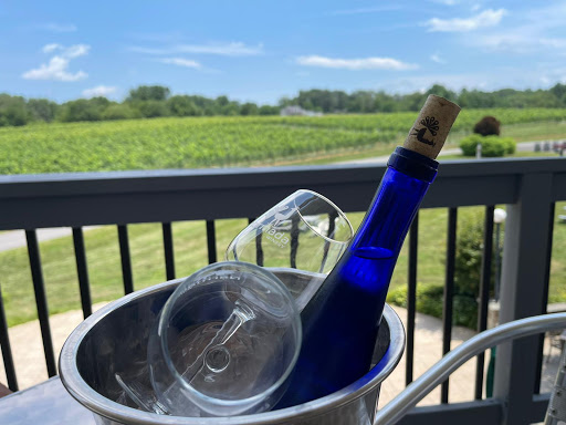 Winery «Narmada Winery», reviews and photos, 43 Narmada Ln, Amissville, VA 20106, USA