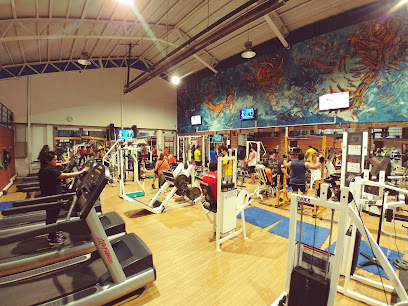 Gimnasio New Life Fitness Club