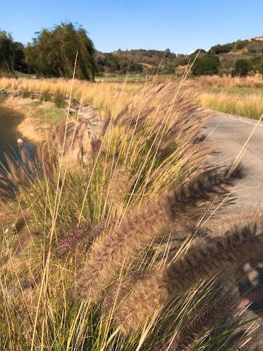 Club «StoneTree Golf Club (A Bay Club Property)», reviews and photos, 9 Stone Tree Ln, Novato, CA 94945, USA