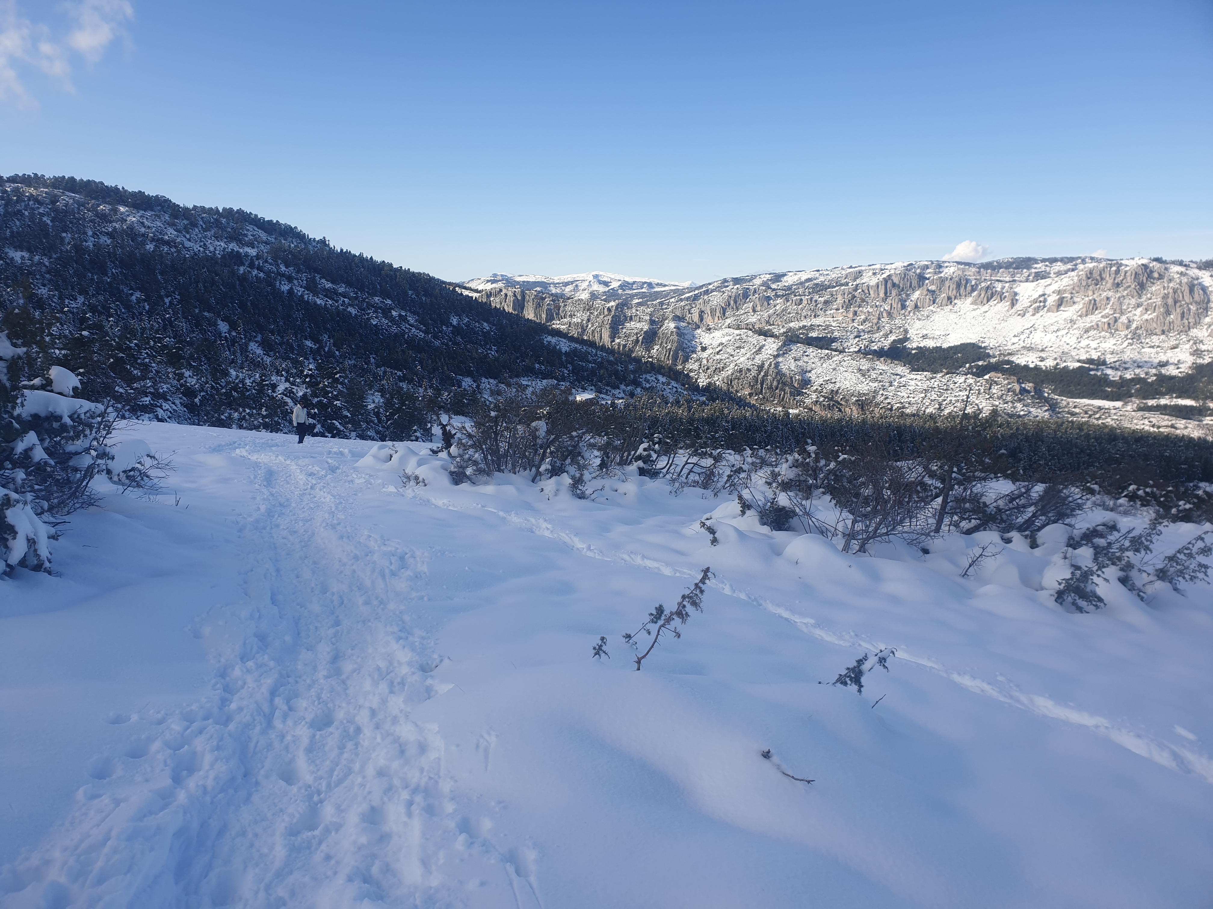 Photo n° 2 de l'avis de dominique.R fait le 17/11/2019 à 17:24