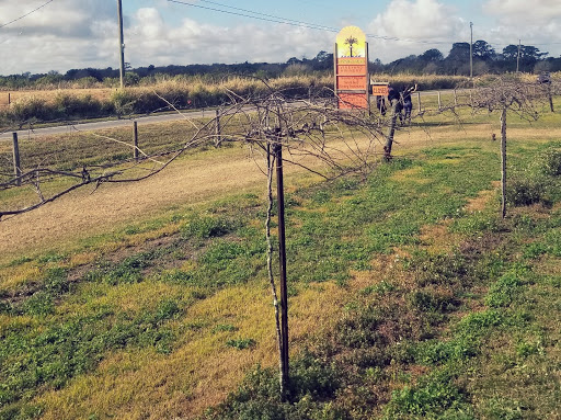 Winery «Summer Crush Vineyard & Winery», reviews and photos, 4200 Johnston Rd, Fort Pierce, FL 34951, USA
